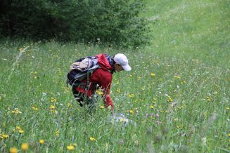 Die Spinnenspezialistin Anna Stäubli auf der Suche nach Acht-Beinern (Foto: Richard Portmann)