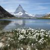 Botanisch-naturkundliche Exkursionswoch 2016 in Zermatt